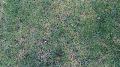 IMG_20171112_165713.jpg