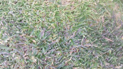 20171122_125651.jpg