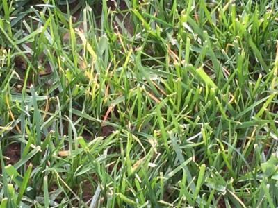 IMG_4257.JPG