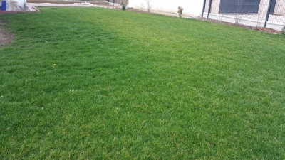 20171230_094032.jpg