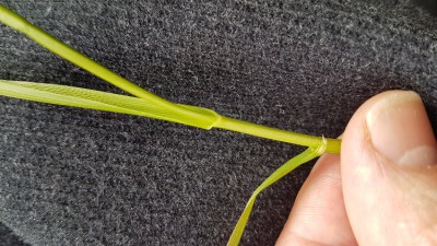 20180207_135858.jpg