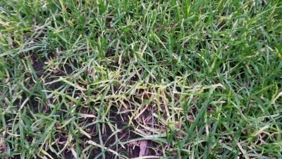 20151023_174931_resized.jpg