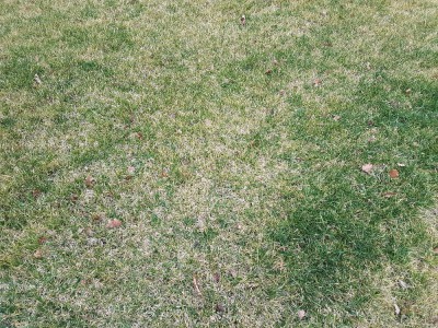 20180216_083047.jpg