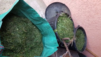 20180311_182723.jpg