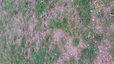 20180313_075247.jpg