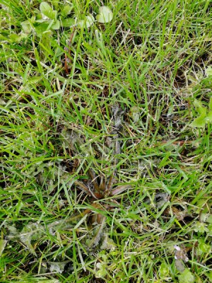 IMG_20180316_131946.jpg