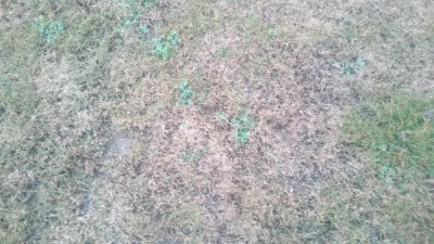 E70563A8-9487-4B84-990E-2AE6ABB7077A.jpeg