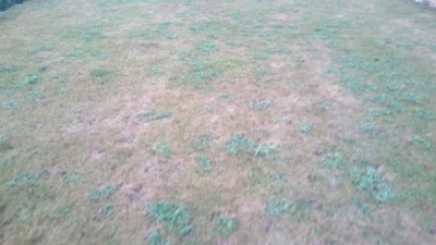 93E83EBD-5F70-4430-B078-A3EE2832FAED.jpeg