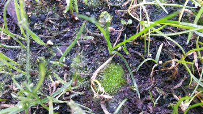 20151101_103807_resized.jpg