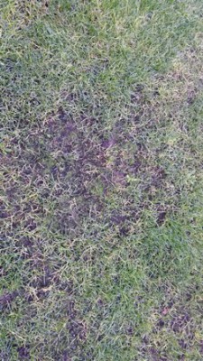 20151101_103826_resized.jpg
