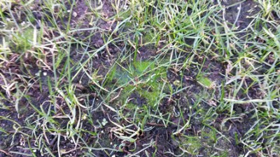20151101_103835_resized.jpg