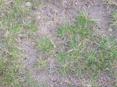 100_2115.JPG