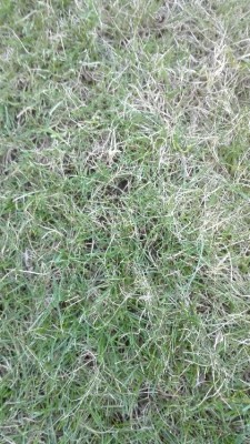 IMG_20180403_203220.jpg