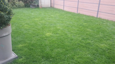 20180402_110142.jpg