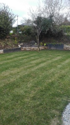 IMG_20180403_195015.jpg