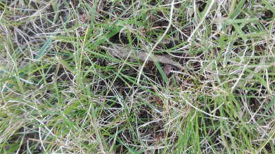 IMG_20180405_184819.jpg