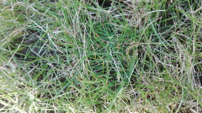IMG_20180405_184827.jpg