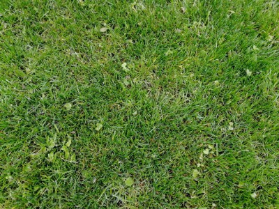 IMG_20180408_134403.jpg