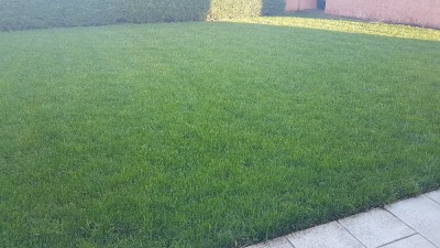20180411_194135.jpg