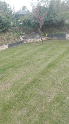 IMG_20180416_194830.jpg