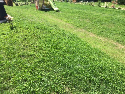 Photo générale