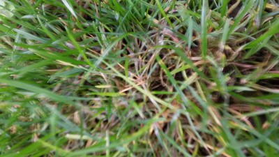 20151107_134142.jpg