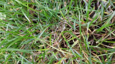 20151107_134145.jpg