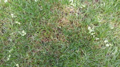 20151107_134212.jpg