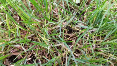 20151107_134220.jpg