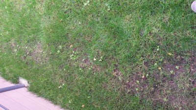 20151107_134829.jpg
