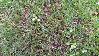 20151107_134838.jpg