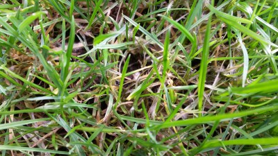 20151107_134853.jpg