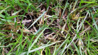 20151107_134904.jpg