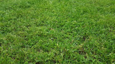 20180430_192955.jpg