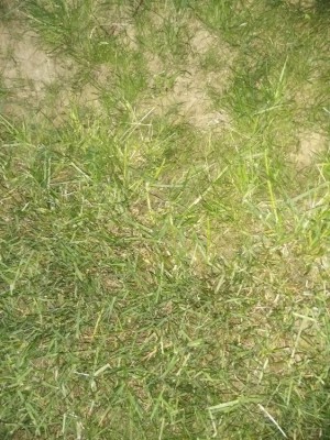 IMG_20180505_212352.jpg