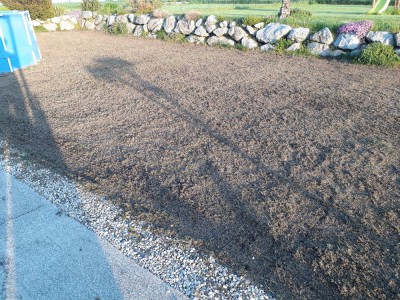 20180506_202359.jpg