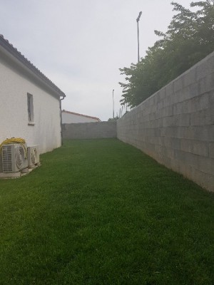20180508_170518.jpg