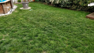 IMG_20180509_143201.jpg
