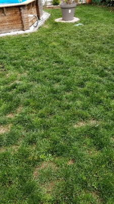 IMG_20180509_143159.jpg