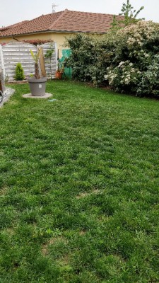 IMG_20180509_143153.jpg