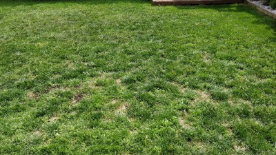 IMG_20180509_144733.jpg