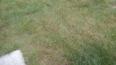 20180509_201335.jpg