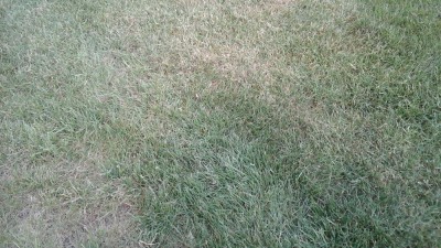 20180509_201327.jpg