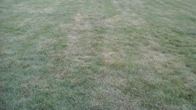 20180509_201312.jpg