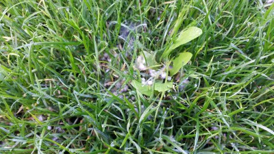 20151111_094954.jpg
