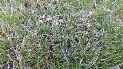 20151111_095011.jpg