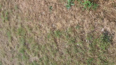 20180512_192207[1].jpg