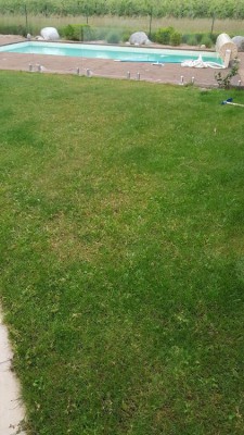 20180515_205034_resized.jpg