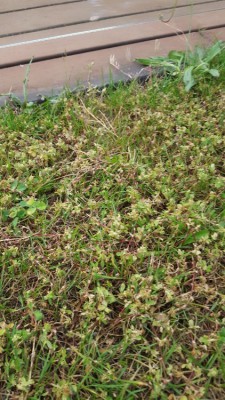 20180515_205055_resized.jpg