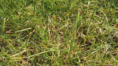 IMG_20180517_153715.jpg